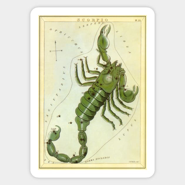 Scorpio the Scorpion, from Urania's Mirror, Vintage Signs of the Zodiac Sticker by MasterpieceCafe